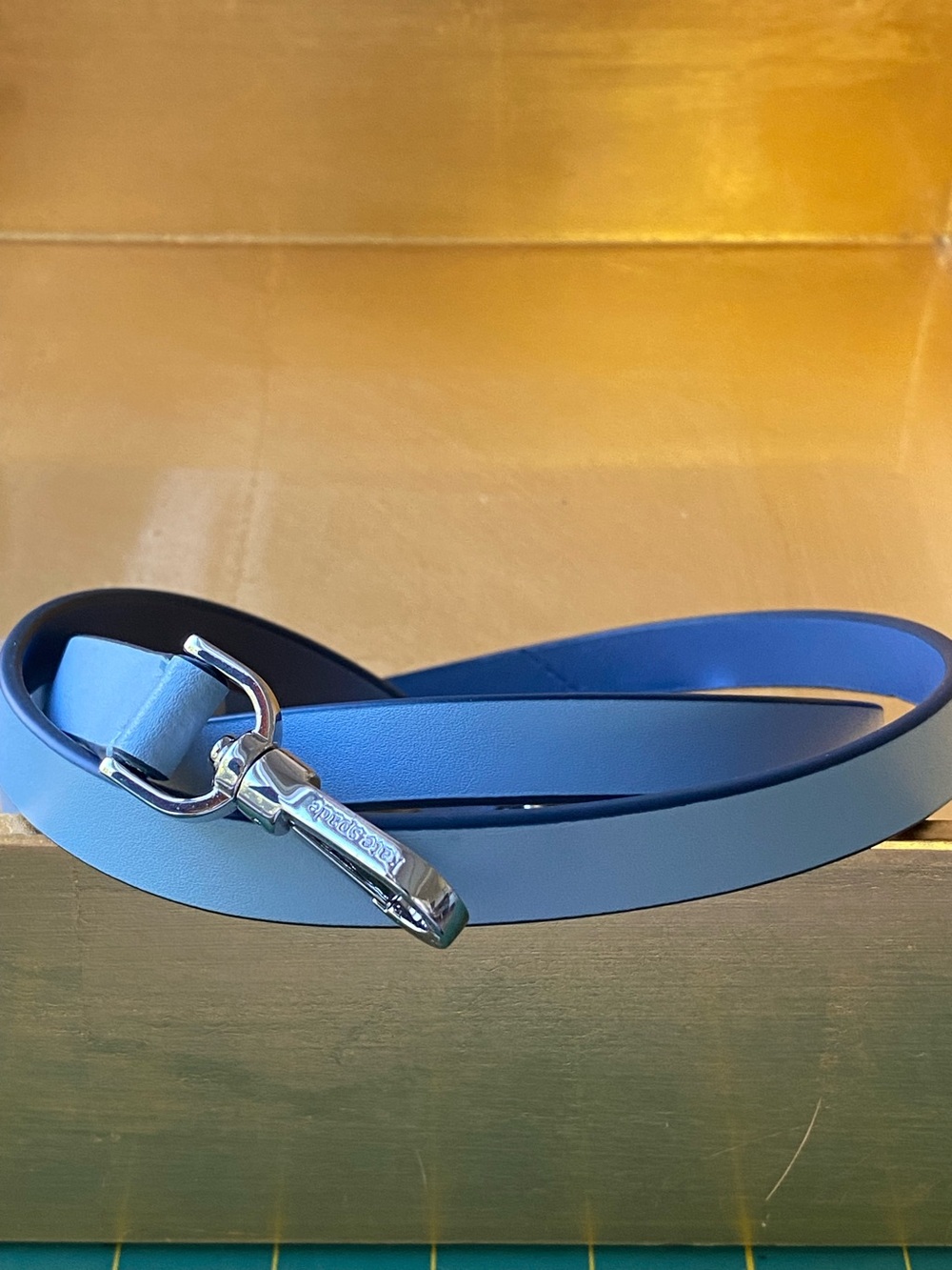 NWOT Kate Spade Adjustable Purse Strap. Lt. Blue w/ Silver Hardware - Picture 5 of 11